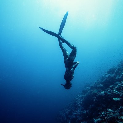 MohamedRimah's profile picture. PADI Master Scuba Diver