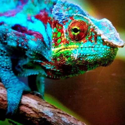 バドミントン大好き