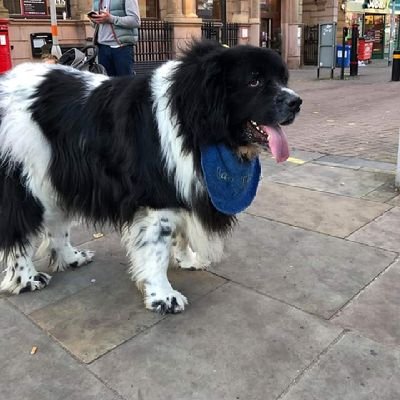 Jane_catherine1's profile picture. 