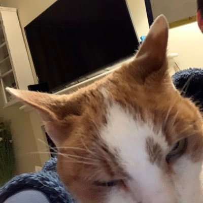 tacticfnr's profile picture. 