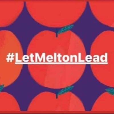 shostergaard's profile picture. This is my personal page!