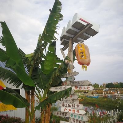 ligson521's profile picture. 呵呵呵额