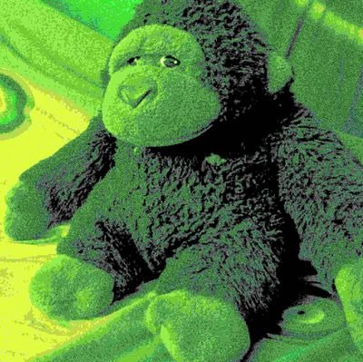 chimp_northern's profile picture. A Northern Chimp