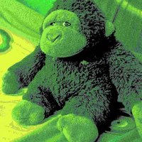 NorthernChimp (@chimp_northern) 's Twitter Profile Photo NorthernChimp (@chimp_northern) 's Twitter Profile Photo