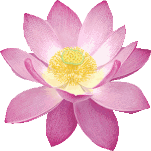 BloomingSisters's profile picture. Group of 8 women who have dedicated themselves to a lifetime of creativity