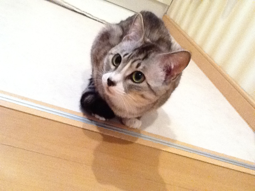 Air_Omega's profile picture. 毎日同じ事の繰り返しが嫌で会社をセミリタイアする為にビジネス書や自己啓発本等を読み漁ったり日々お金儲けのことを考えたりしてます。
凡人が成功するには、投資しかないと思い株やFX、CFDをやっています。
最近、仮想通貨も始めてみました。