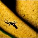 Paul Gain - @paul_gain - Twitter