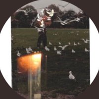 ود بنت خالد السعدون (@weddalsdn) 's Twitter Profile Photo