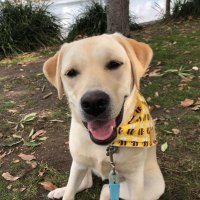 John Simeoni (@simeoni67) 's Twitter Profile Photo