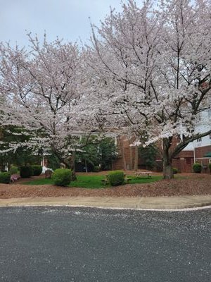 Interrupting13's profile picture. Nothing special