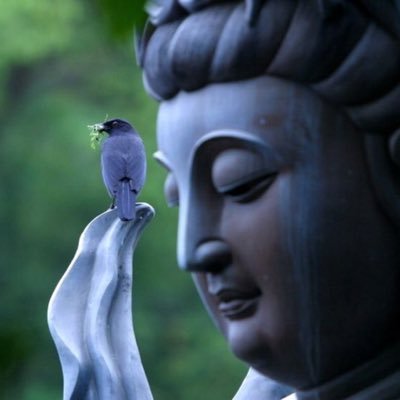 Buddha Brianさんのプロフィール画像