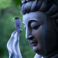 Buddha Brian(@BuddhaBrian) 's Twitter Profile Photo