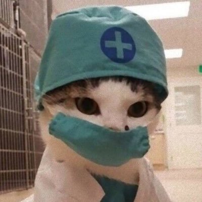 CatcatMarico's profile picture. アマバンで歌ったり、ちょっとギターもしたり。 大阪の意識低い系ミュージシャンであり、おしゃれな神戸っ子であり、さりげなく会社員。 所属バンドはnauteno（東京事変）とリベリー（ジュディマリ）、ガリトマ（ロカビリー的な？）、泡喰ライ（椎名林檎）。猫さんをこよなく愛しています 。 フォローはお気軽に〜
