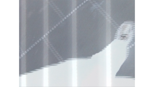 bubbly_fish's profile picture. 