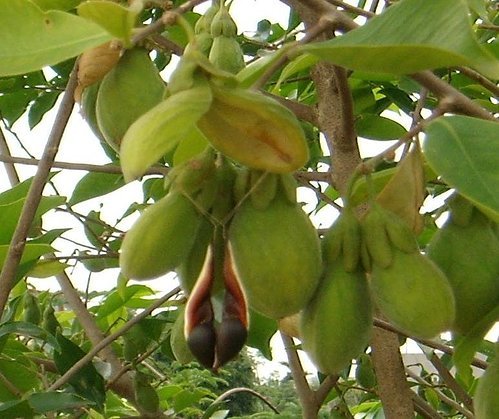 hdach2345's profile picture. 