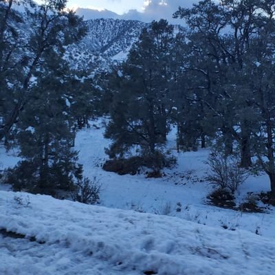 Bea2130's profile picture. 