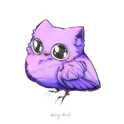 Kayla 🦉さんのプロフィール画像