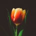 ### (@atmwdg) Twitter profile photo ### (@atmwdg) Twitter profile photo