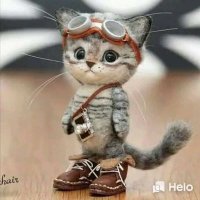 Lakshana_🦋 (@lakshana1702) 's Twitter Profile