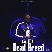 AIRWAY DRE-NO™ (@airwaydreno) 's Twitter Profile Photo