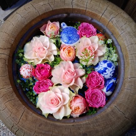 P74819604's profile picture. 