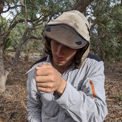 PhD candidate, UWA, studying drivers of diversity and diversity decline in urban bushland remnants