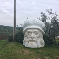 The Challenged (@the_challengedh) 's Twitter Profile
