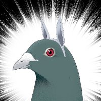 むーよしお。🕊️ (@moo_yoshio_) 's Twitter Profile