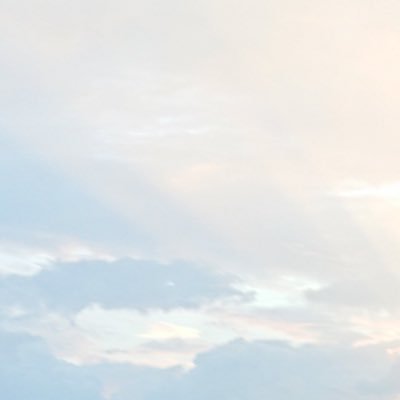 折さんのプロフィール画像