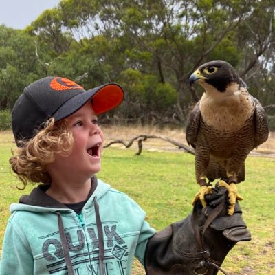 mrchrisphillips's profile picture. 
