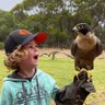 mrchrisphillips's profile picture. 