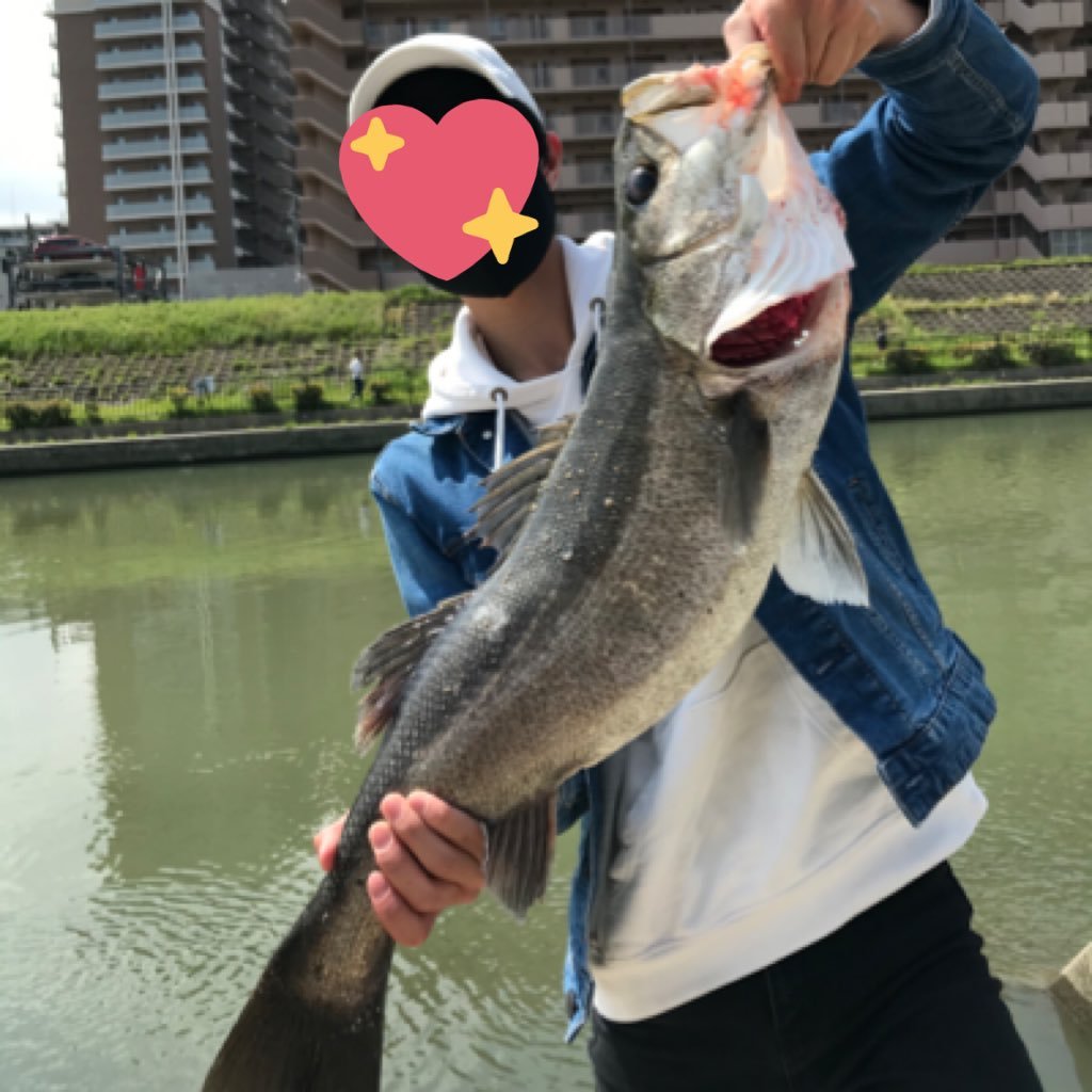 バス釣り学生 神崎川 淀川でポイントあれば教えて頂きたいです バス釣り 神崎川 淀川 城北ワンド オカムラワンド 淀川バス釣り 神崎川バス釣り バス釣り学生 神崎川 淀川でポイントあれば教えて頂きたいです バス釣り 神崎川 淀川 城北ワンド オカムラワンド 淀川バス釣り 神崎川バス釣り