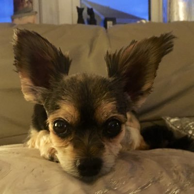 Lynn Struthers Profile