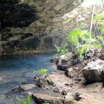 MitchDouglas8's profile picture. Just here to get insight on the chaos.