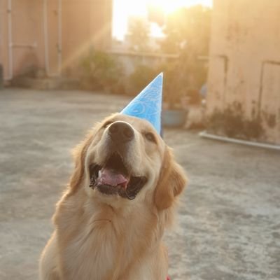 Deepu5593's profile picture. Pawan kalyan fan,movie lover.