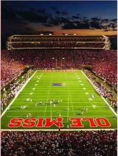 memphisreb24's profile picture. 