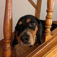 Mr. Radar (@aeo1981) 's Twitter Profile