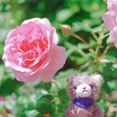 ねーさんのプロフィール画像