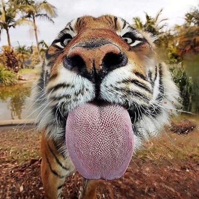 MartynaCiszek's profile picture. crazy dreamer 😎
#SerceMamPoLewej 💜