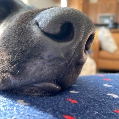 I consider waking up at 7am sleeping in.