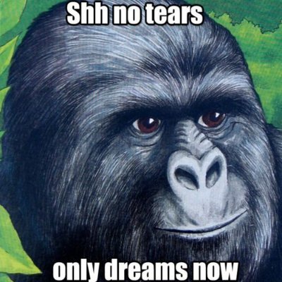 liall0r's profile picture. too poor to afford a pixelated jpeg