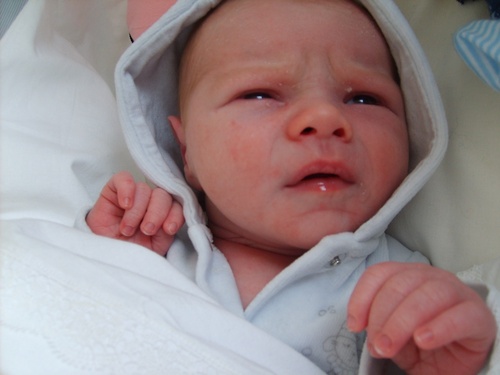 pedli's profile picture. 