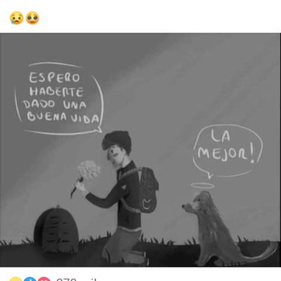 Crisevan41's profile picture. No micho