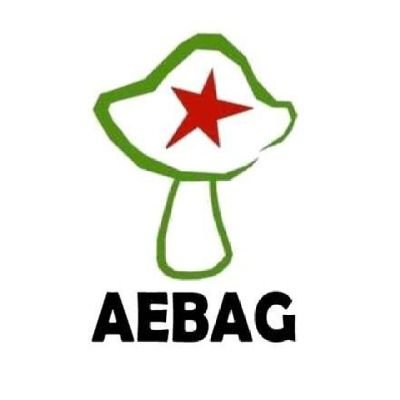 Som l'assemblea d'estudiants de les facultats de Biologia i CCT de la UB🍄 Estudiant, contacta amb nosaltres i organitza't!!!✊ Links d’interès 👇