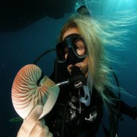 Jessica Nilsson, PhD, marine biologist, PAME Chair (@jessica_arctic) 's Twitter Profile