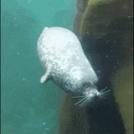 monitor56096981's profile picture. 