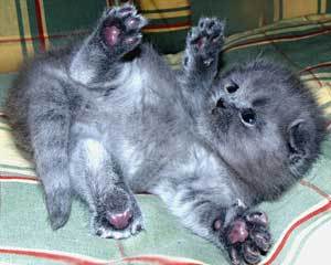 Nadya_Pgl's profile picture. 