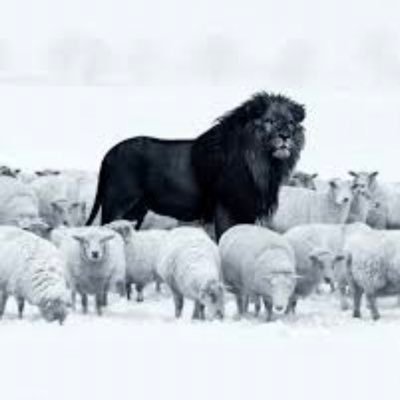 nashawn_n's profile picture. 