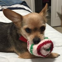 1stony (@stony0221) 's Twitter Profile
