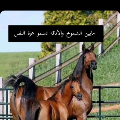 اتمنا ان أكون في احسن حال💕